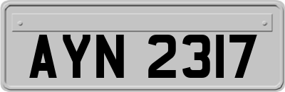 AYN2317