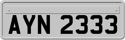 AYN2333
