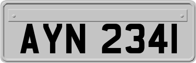 AYN2341
