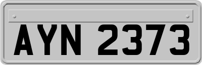 AYN2373