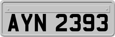 AYN2393