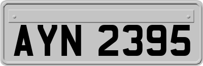 AYN2395