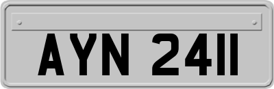 AYN2411