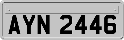 AYN2446