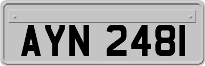 AYN2481