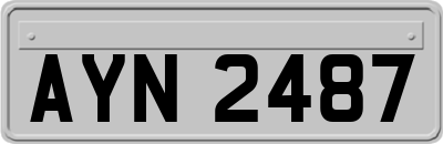 AYN2487