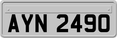 AYN2490
