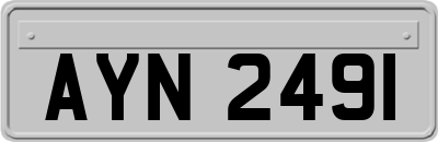 AYN2491