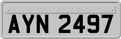 AYN2497