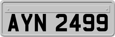 AYN2499