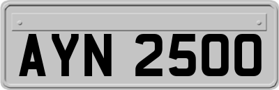 AYN2500