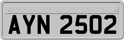 AYN2502
