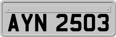AYN2503
