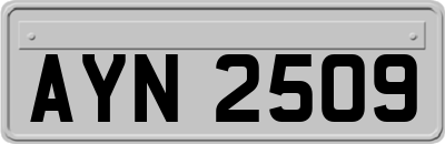 AYN2509