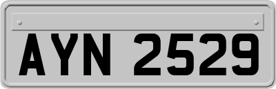 AYN2529