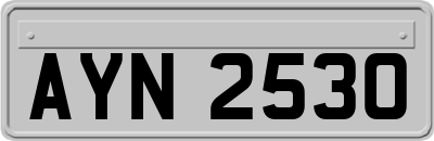 AYN2530