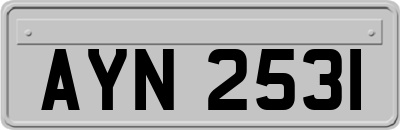 AYN2531