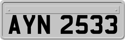 AYN2533