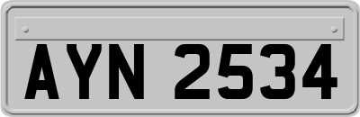 AYN2534