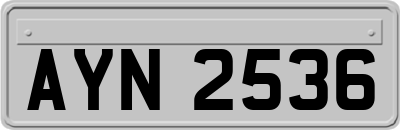 AYN2536