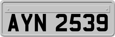 AYN2539