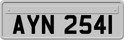 AYN2541