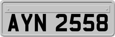 AYN2558