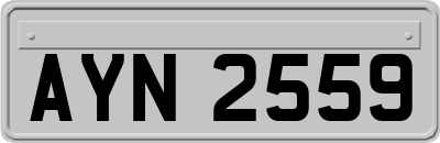 AYN2559