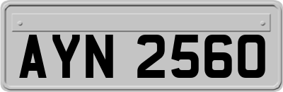 AYN2560