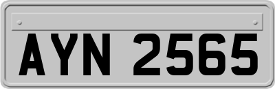 AYN2565