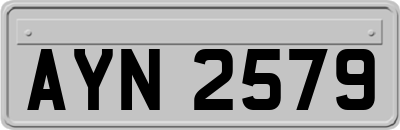 AYN2579