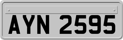AYN2595