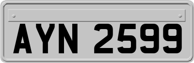 AYN2599