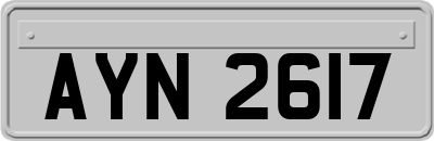 AYN2617