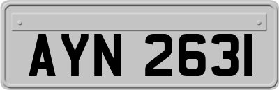 AYN2631