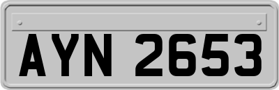 AYN2653
