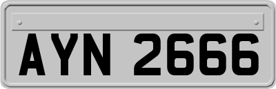 AYN2666