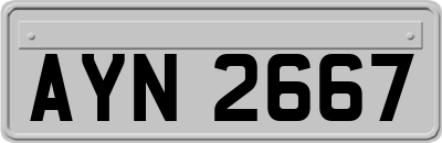 AYN2667