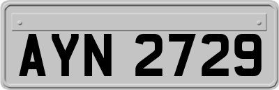 AYN2729