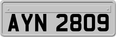 AYN2809