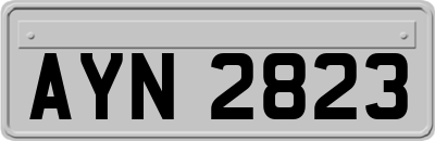 AYN2823