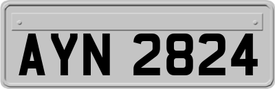 AYN2824