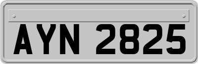 AYN2825