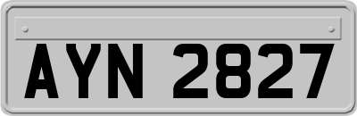 AYN2827