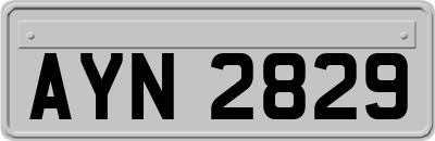 AYN2829