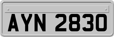 AYN2830