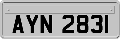 AYN2831