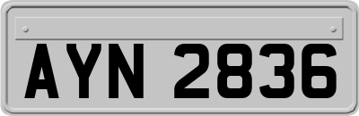 AYN2836