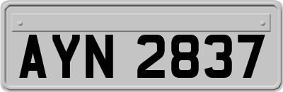 AYN2837