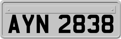 AYN2838
